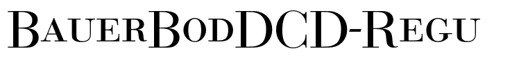 BauerBodDCD-Regu