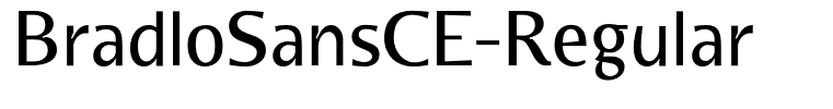BradloSansCE-Regular