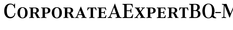 CorporateAExpertBQ-Medium
