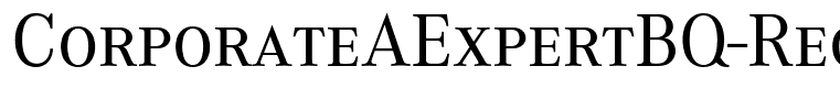 CorporateAExpertBQ-Regular