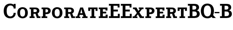 CorporateEExpertBQ-Bold