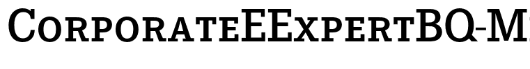 CorporateEExpertBQ-Medium
