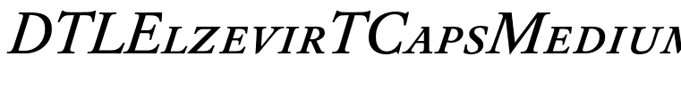 DTLElzevirTCapsMedium-Italic