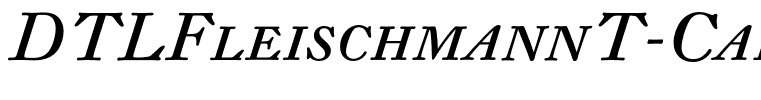 DTLFleischmannT-CapsItalic