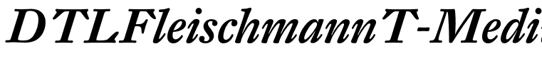 DTLFleischmannT-MediumItalic