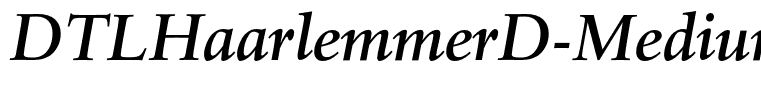 DTLHaarlemmerD-MediumItalic