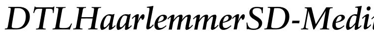 DTLHaarlemmerSD-MediumItalic