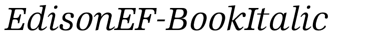 EdisonEF-BookItalic