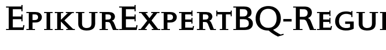 EpikurExpertBQ-Regular