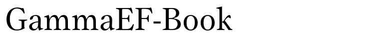 GammaEF-Book