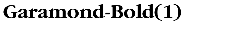 Garamond-Bold(1)
