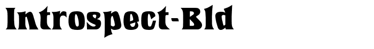 Introspect-Bld