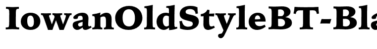 IowanOldStyleBT-Black(1)