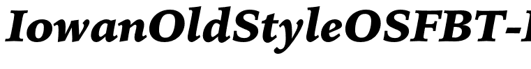 IowanOldStyleOSFBT-BlackItalic