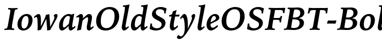 IowanOldStyleOSFBT-BoldItalic