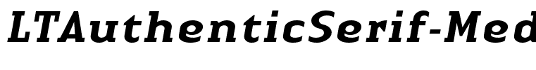 LTAuthenticSerif-MediumItalic