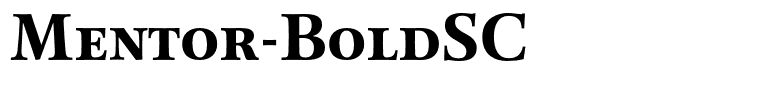 Mentor-BoldSC