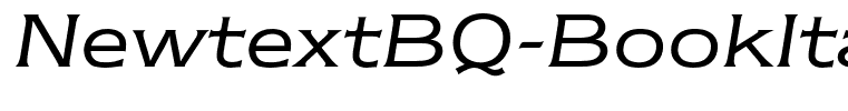 NewtextBQ-BookItalic