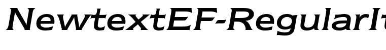 NewtextEF-RegularItalic