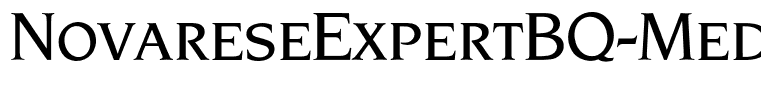 NovareseExpertBQ-Medium