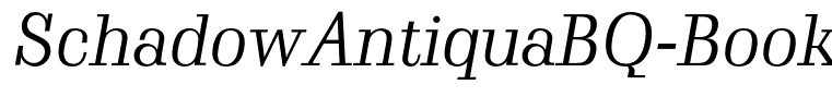 SchadowAntiquaBQ-BookItalic