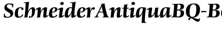 SchneiderAntiquaBQ-BoldItalic