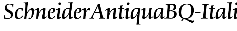 SchneiderAntiquaBQ-Italic