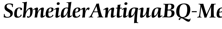SchneiderAntiquaBQ-MediumItalic
