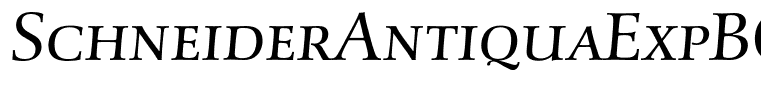 SchneiderAntiquaExpBQ-LightItalic