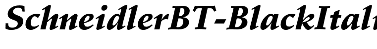 SchneidlerBT-BlackItalic(1)