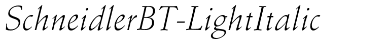 SchneidlerBT-LightItalic