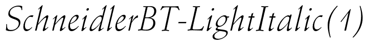 SchneidlerBT-LightItalic(1)