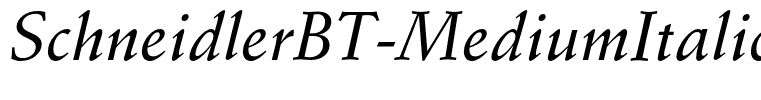 SchneidlerBT-MediumItalic(1)