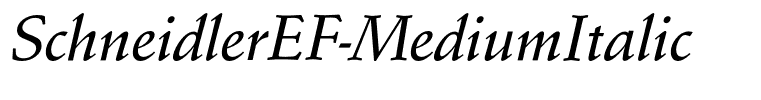 SchneidlerEF-MediumItalic