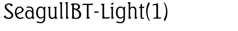 SeagullBT-Light(1)