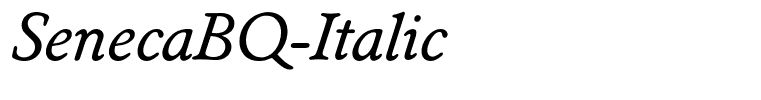SenecaBQ-Italic