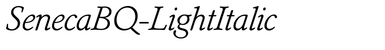 SenecaBQ-LightItalic