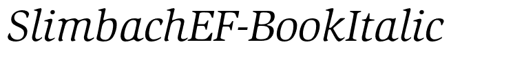 SlimbachEF-BookItalic