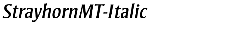 StrayhornMT-Italic