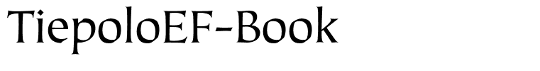 TiepoloEF-Book