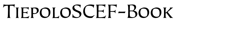 TiepoloSCEF-Book