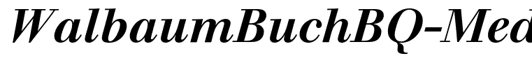 WalbaumBuchBQ-MediumItalic