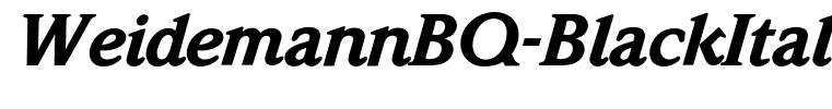 WeidemannBQ-BlackItalic
