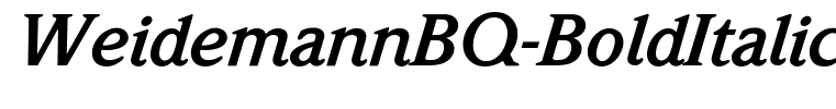 WeidemannBQ-BoldItalic