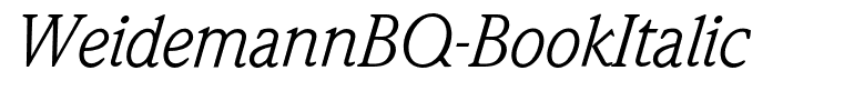 WeidemannBQ-BookItalic