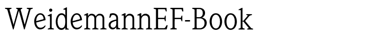WeidemannEF-Book