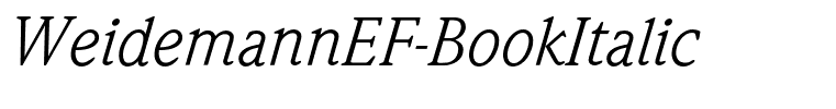 WeidemannEF-BookItalic