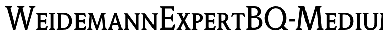 WeidemannExpertBQ-Medium