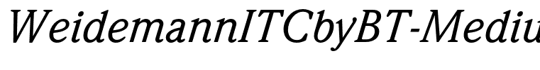 WeidemannITCbyBT-MediumItalic