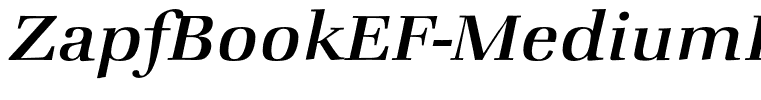ZapfBookEF-MediumItalic